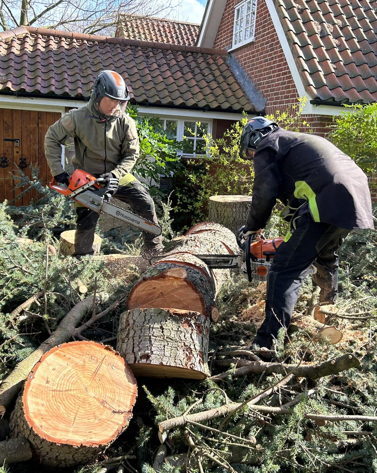 Cutting Tree Stumps