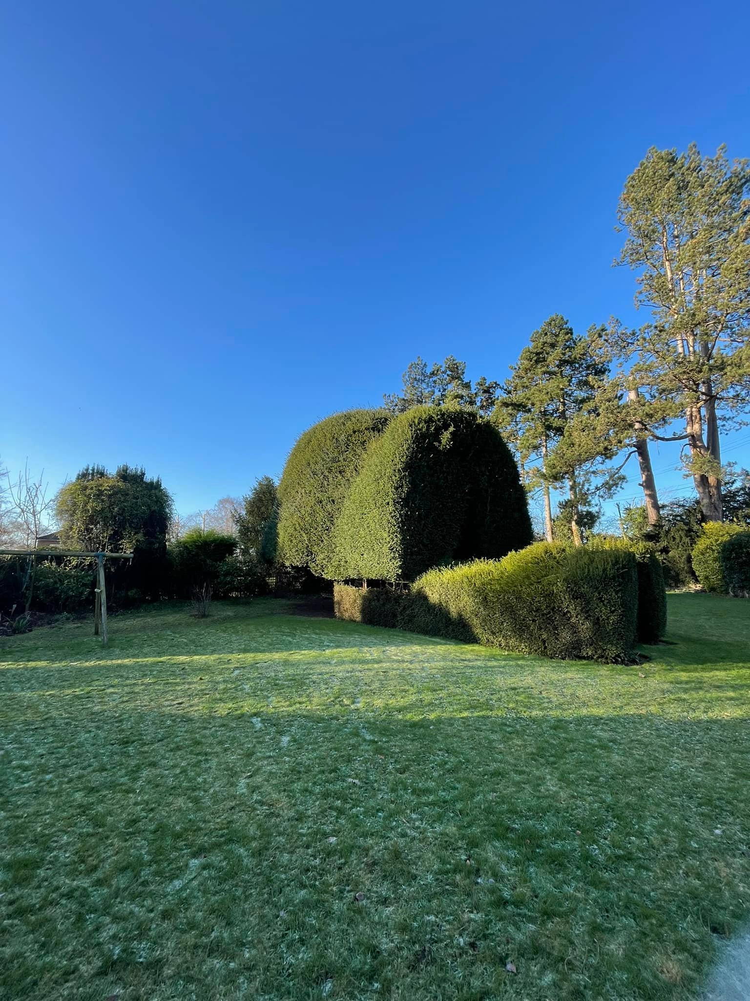 Estate Maintenance - trimmed trees and hedges