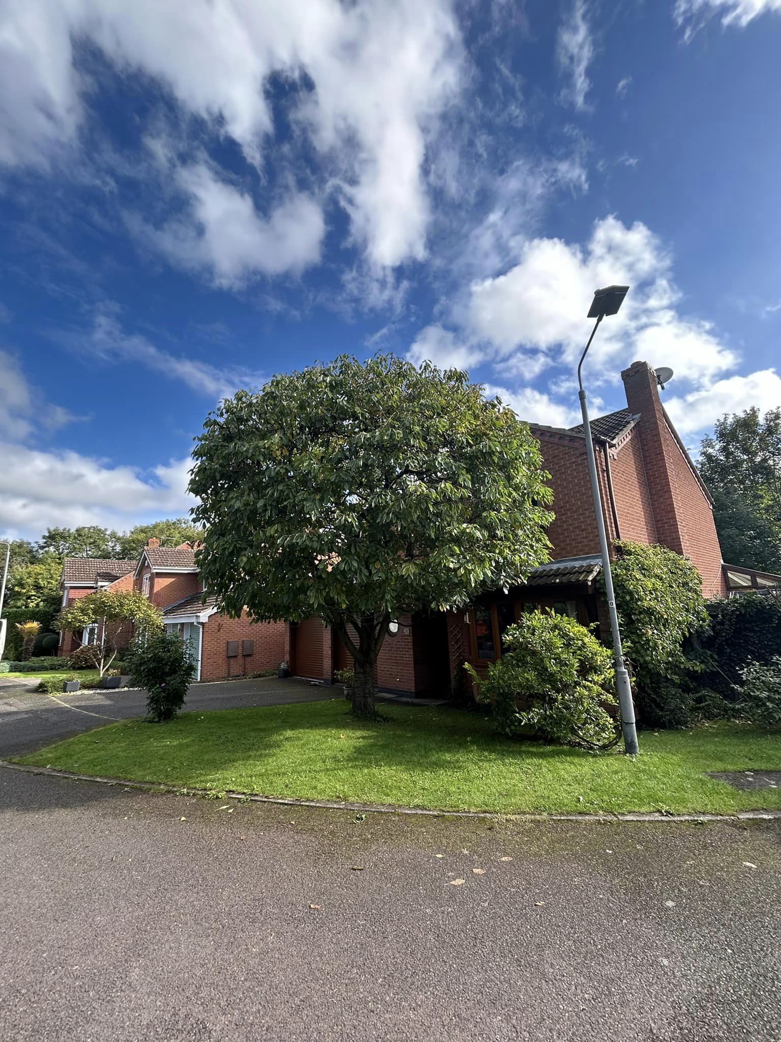 Trimmed tree at the front of a house