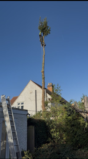 Photo from customer review