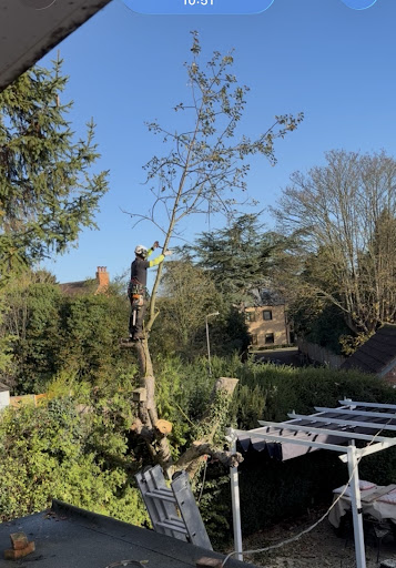 Photo from customer review