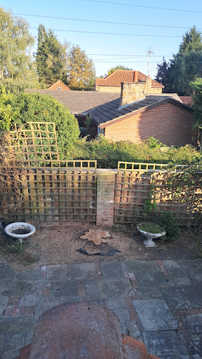 Photo from customer review