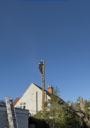 Photo from customer review