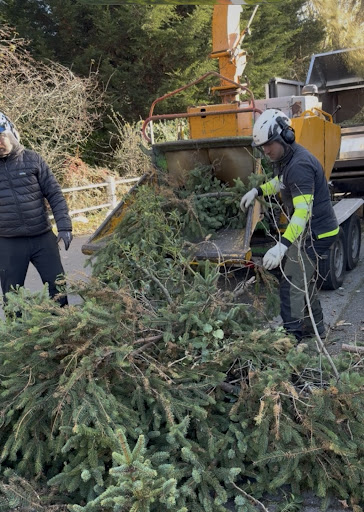 Photo from customer review