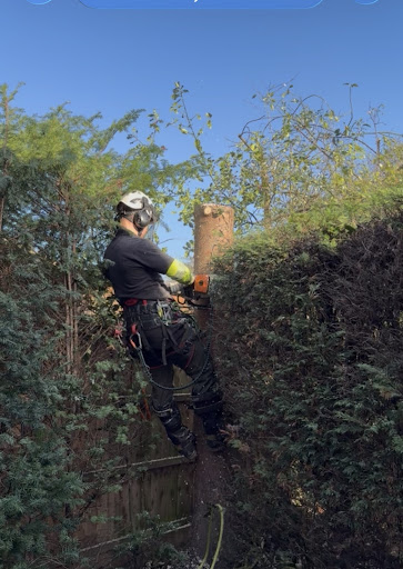 Photo from customer review