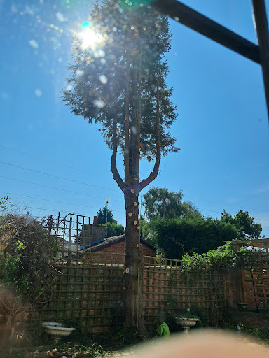 Photo from customer review